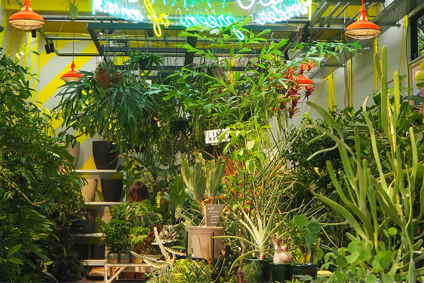 SOLSO PARKの店内