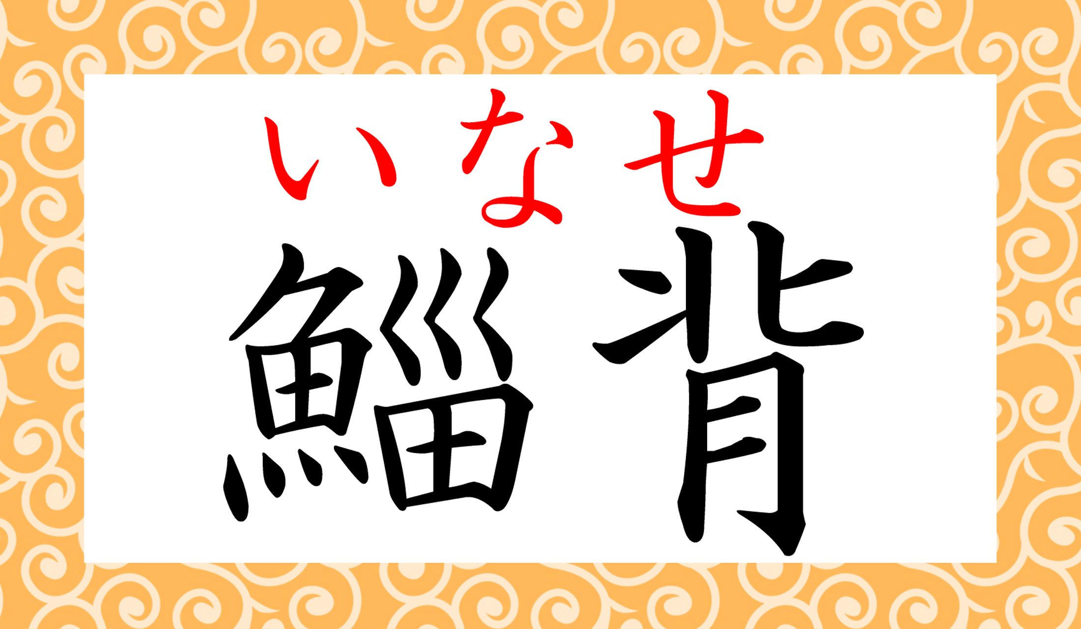 「粋で鯔背」「鯔背なお兄さん」「鯔背な若い衆」など、男ぶりの良さを感じる人への誉め言葉です。