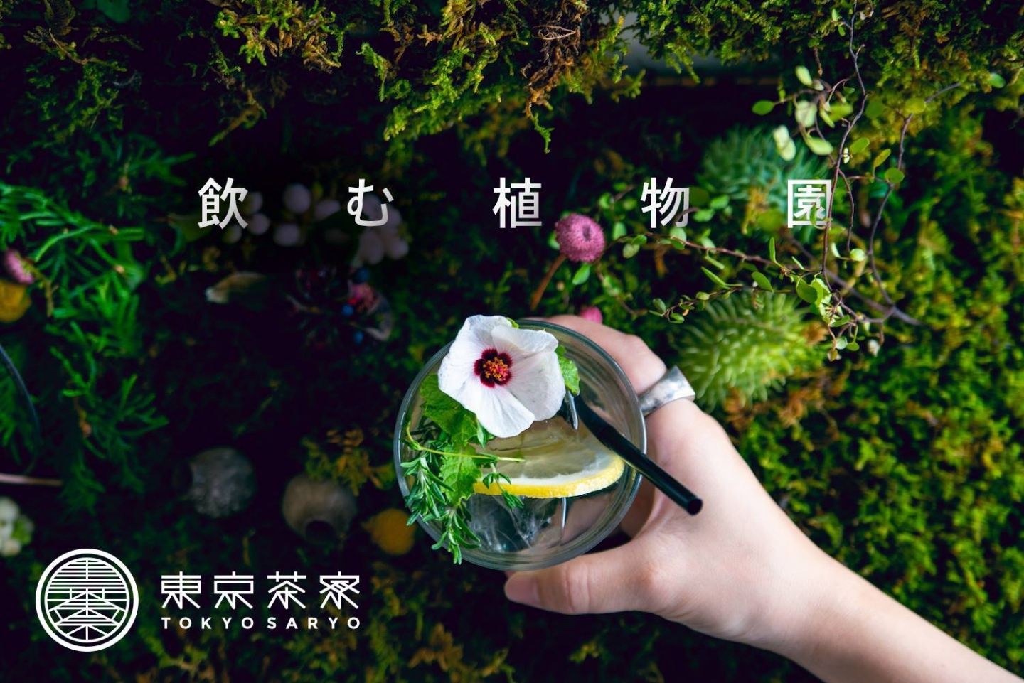 飲む植物園@東京茶寮 入場料(レインドロップ) ¥1,000(税込)