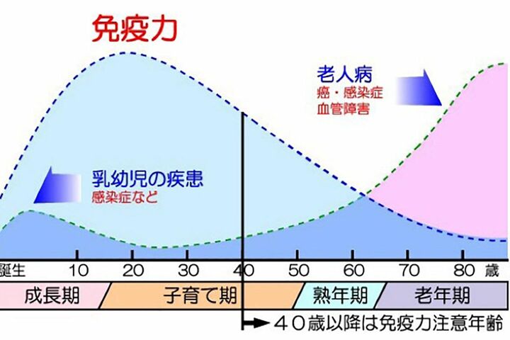 獲得免疫系の働きは加齢とともに如実に下がることがわかる。