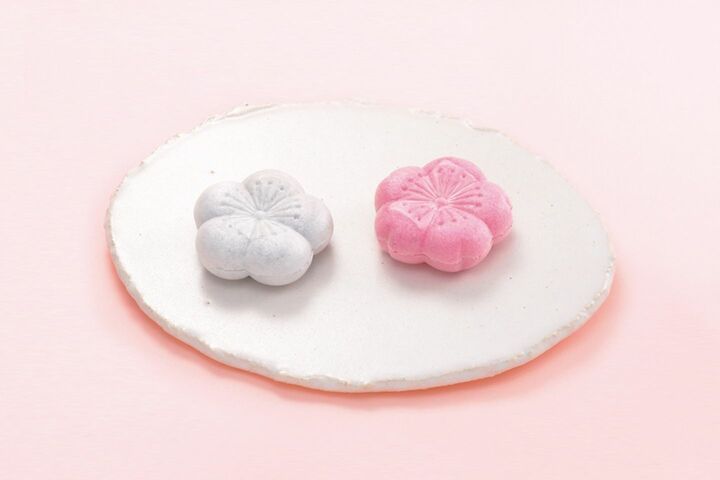 スイーツ_6,和文化_6,手土産_6,習慣_6