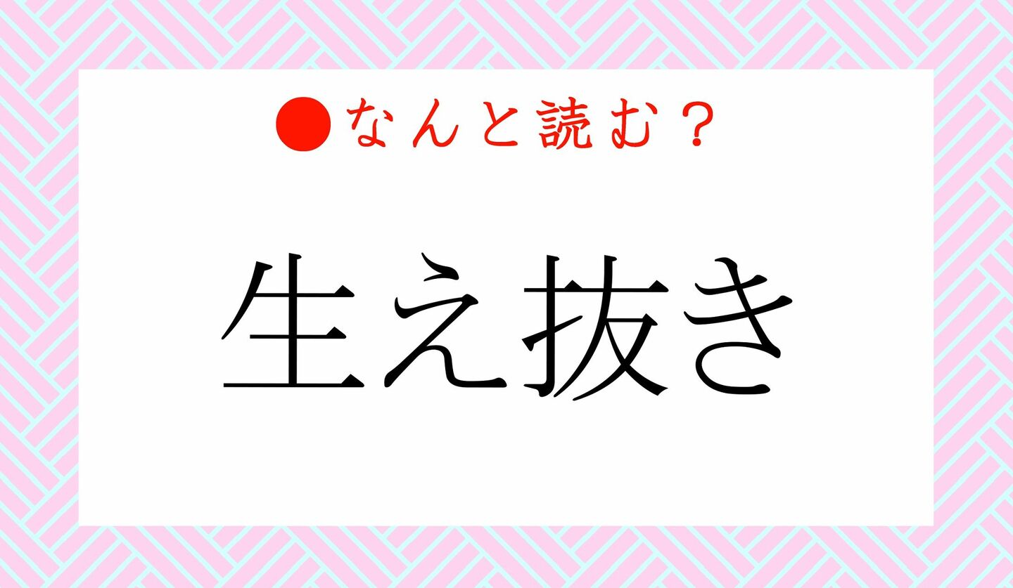 日本語クイズ　出題画像　難読漢字　「生え抜き」なんと読む？