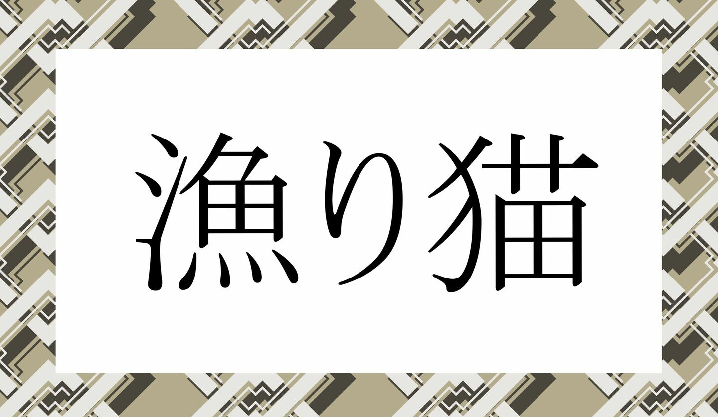 「あさりねこ」ではありません!「漁り猫」ってなんと読む? | Precious.jp(プレシャス)