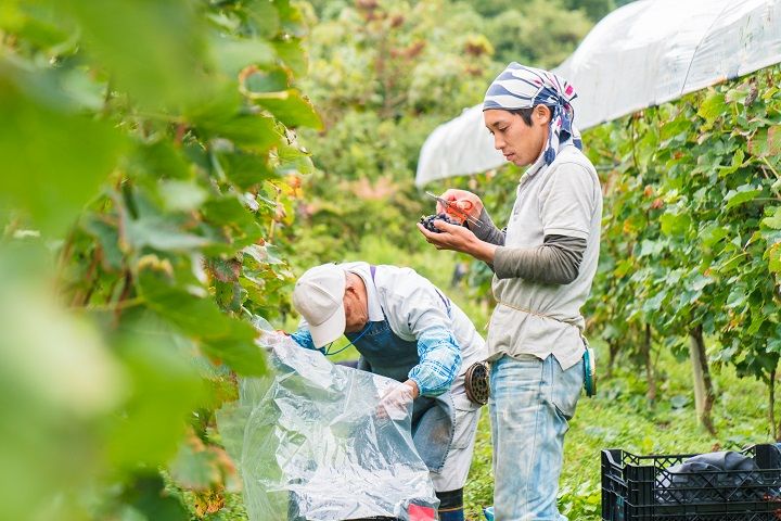 「勤労を尊び、生産を祝い、国民たがいに感謝しあう日」