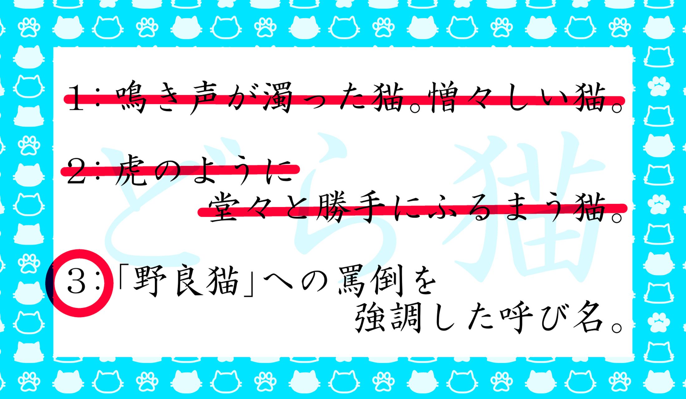 「どら猫」ってそういう意味だったのね!