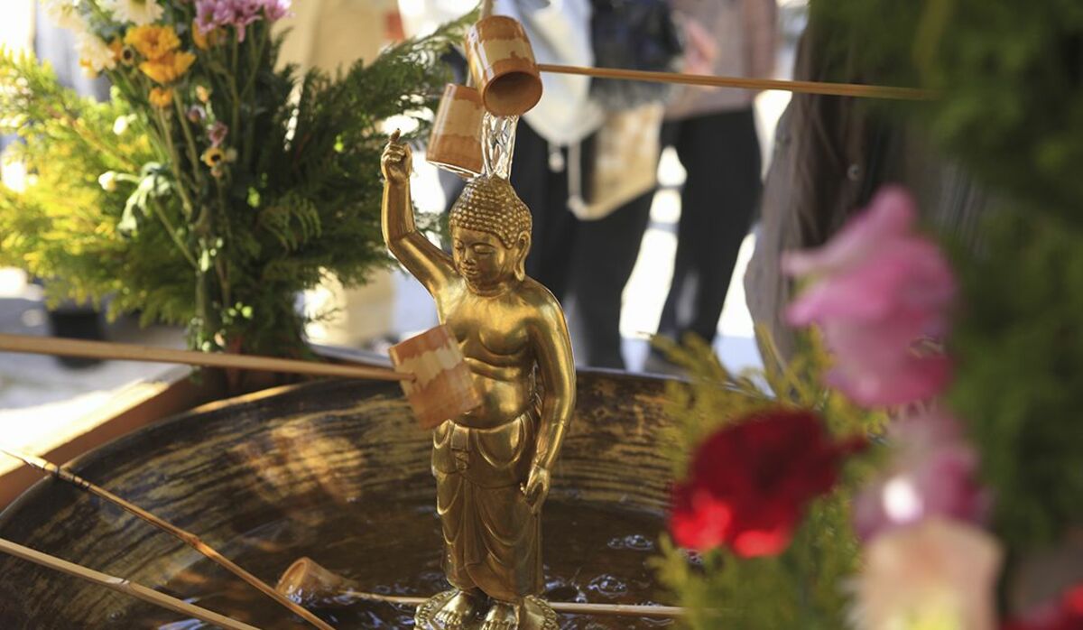 年の花祭り 灌仏会 はいつ 甘茶を飲むのはなぜ お釈迦様に甘茶をかける理由から 甘茶の作り方とおいしい飲み方 おすすめ甘茶まで Precious Jp プレシャス 年の花祭り 灌仏会 はいつ 甘茶を飲むのはなぜ お釈迦様に甘茶をかける理由から 甘茶の作り方とおいしい飲み方 おすすめ甘茶まで Precious Jp プレシャス