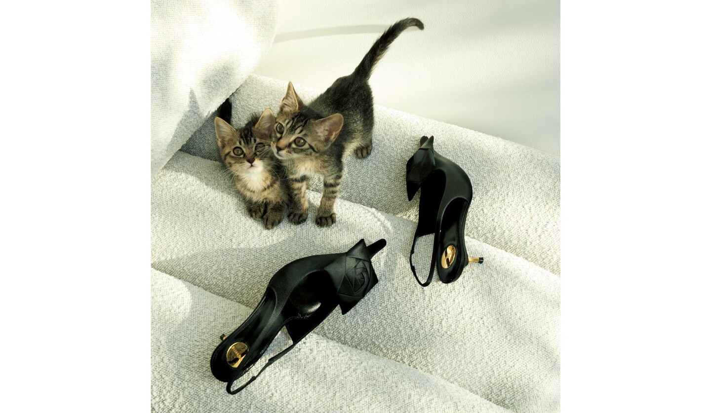 サンローラン バイ アンソニー・ヴァカレロのスリングバックパンプスと子猫