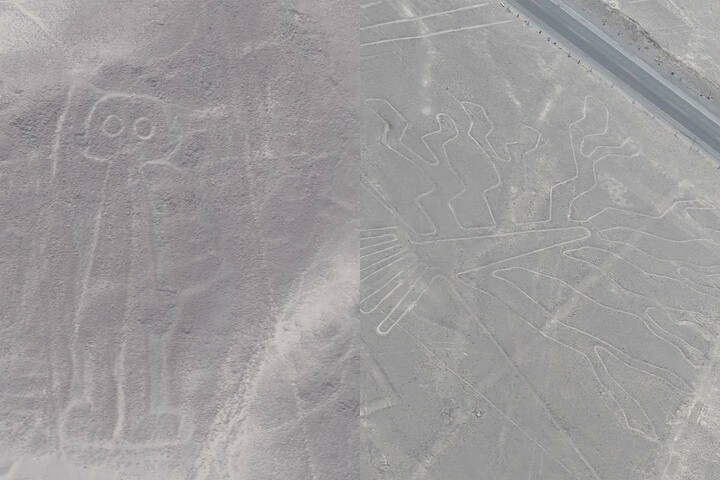 私が遊地上絵、左が「宇宙飛行士」。右が「海藻」と呼ばれている図柄です。