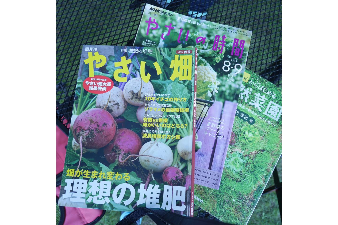 毎号楽しみな家庭菜園関連の雑誌。野菜作りと一言でいっても奥が深いもので・・・微生物の話から、地理、歴史、あらゆるものにリンクしているので、知的好奇心が刺激されます