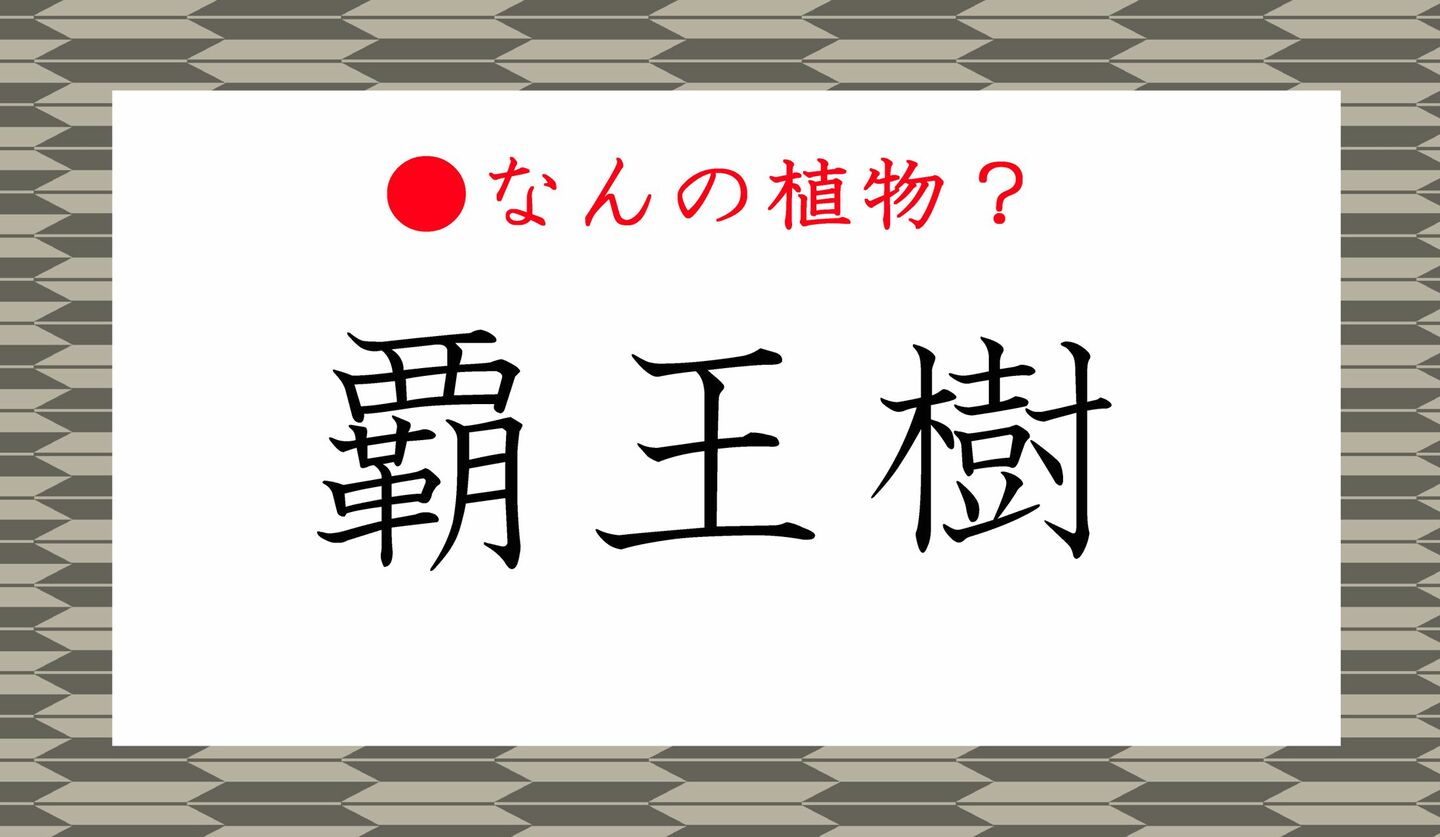 日本語クイズ　出題画像　なんの植物？　「覇王儒」