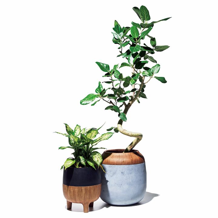家具_1,小物_1