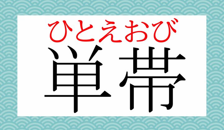帯にも、季節感があり、裏地をつけないこちらは主に夏用です。