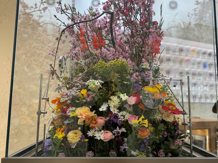 花_1,東京_3,スイーツ_3