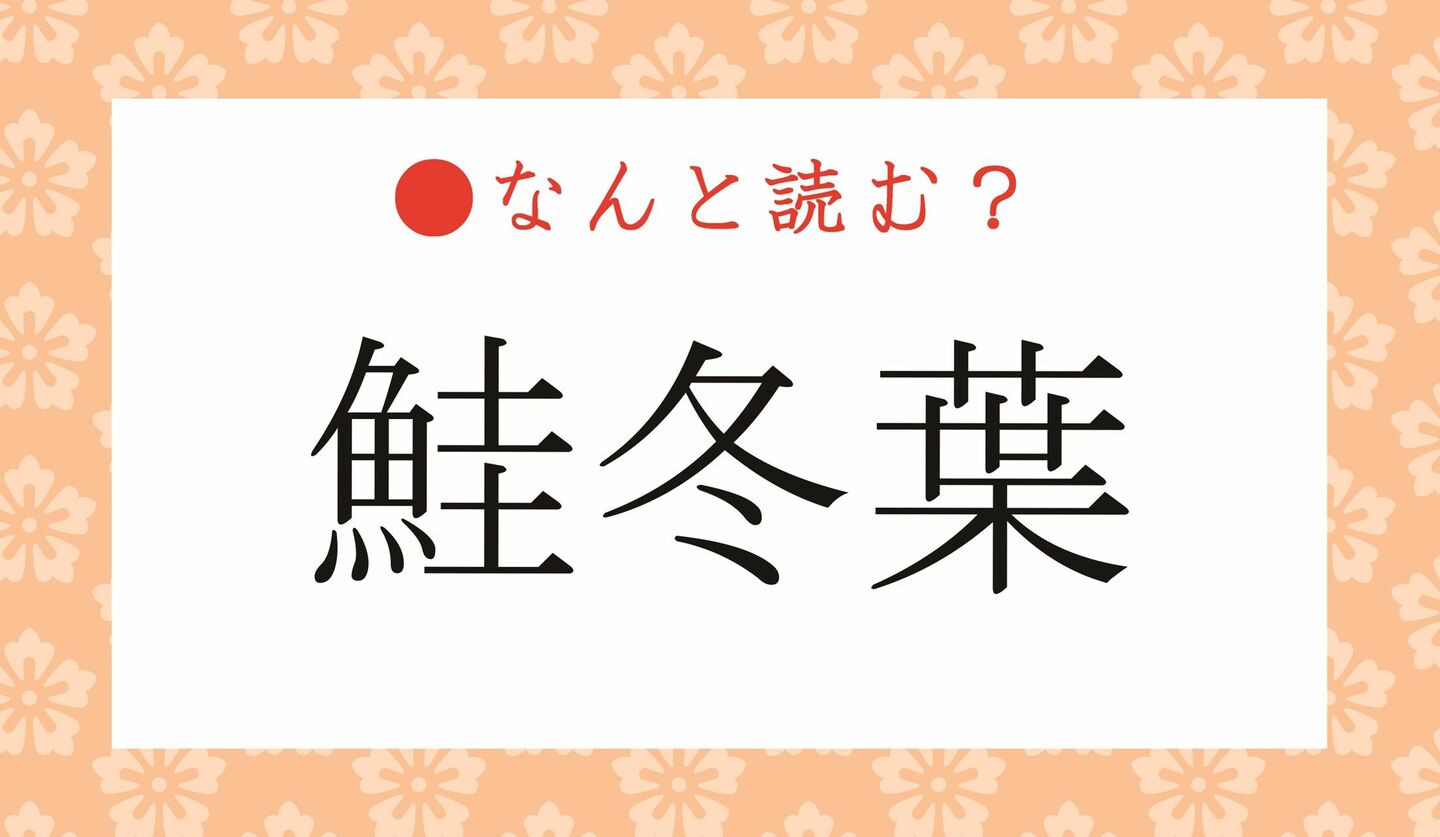 日本語クイズ　出題画像　難読漢字　「鮭冬葉」なんと読む？