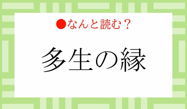 「たせいのみどり」ではありません！「多生の縁」ってなんと読む？