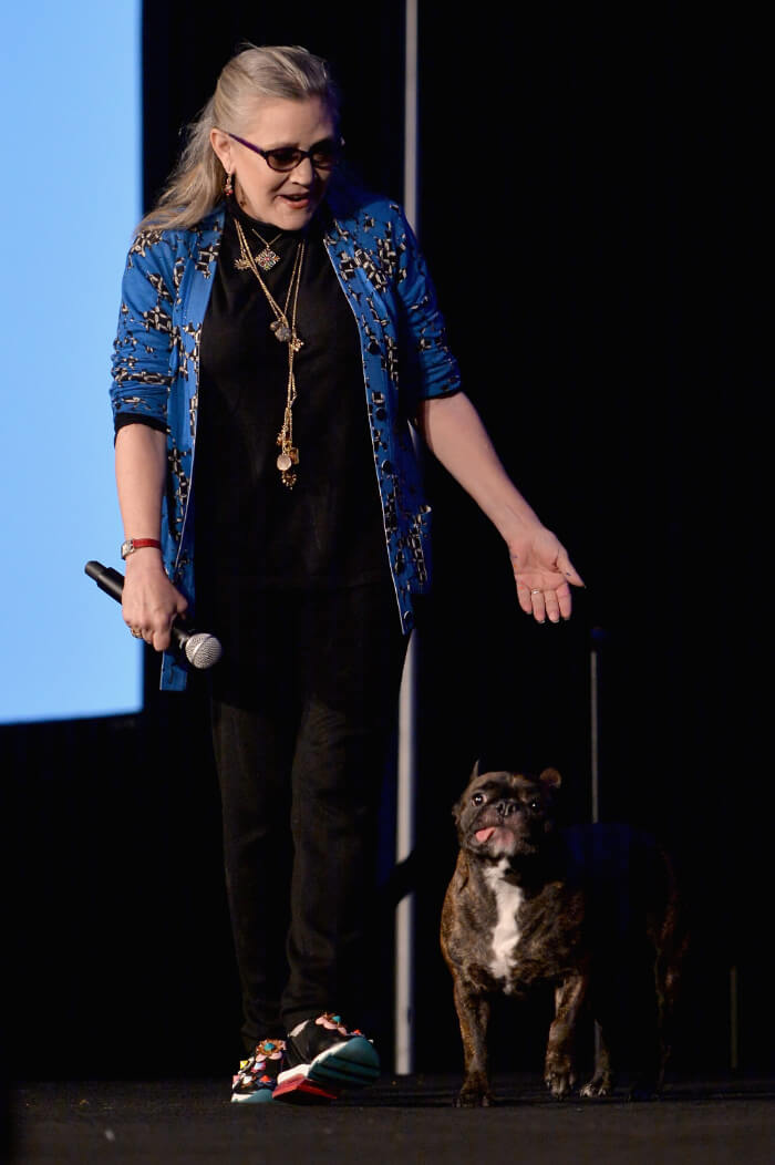 2016年8月21日、ローズモントのドナルド・E・ステファンズ コンベンションセンターで開催された「Wizard World Comic Con Chicago 2016」（当時のイベント名／現：FAN EXPO Chicago）のトークステージ。足元のフレンチ・ブルドッグは愛犬のゲイリー。