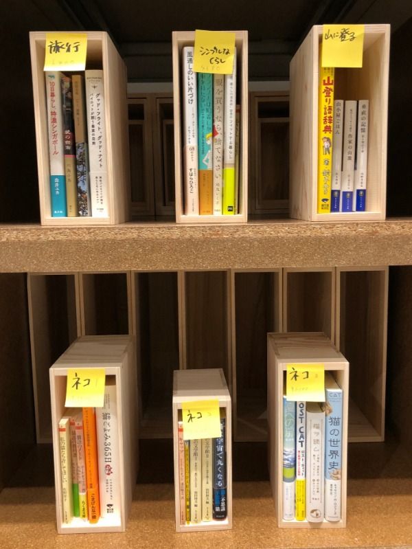 本の判型に合わせた本棚。テーマに合わせた選書と共に販売する