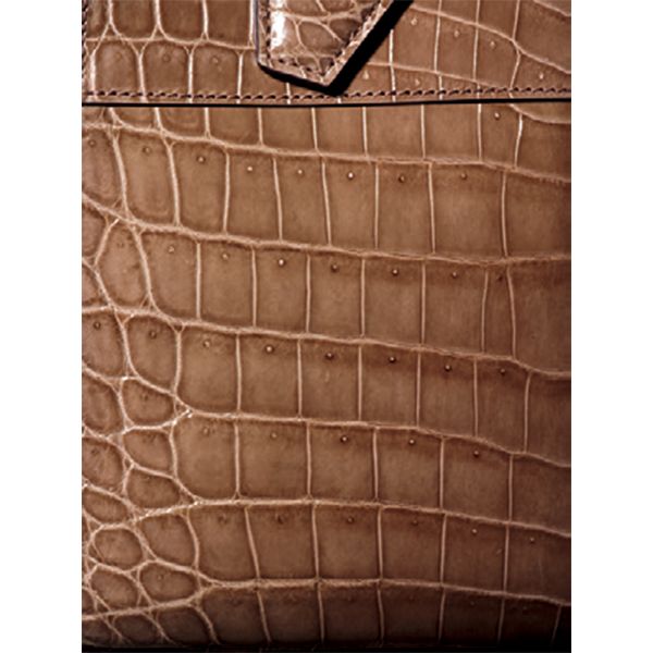 クロコダイル・ポロサス別名スモールクロコダイル（イリエワニ）。斑が全体に小さめで、中央から脇に向かって、さらに細やかになる。ピットもわかりやすい。