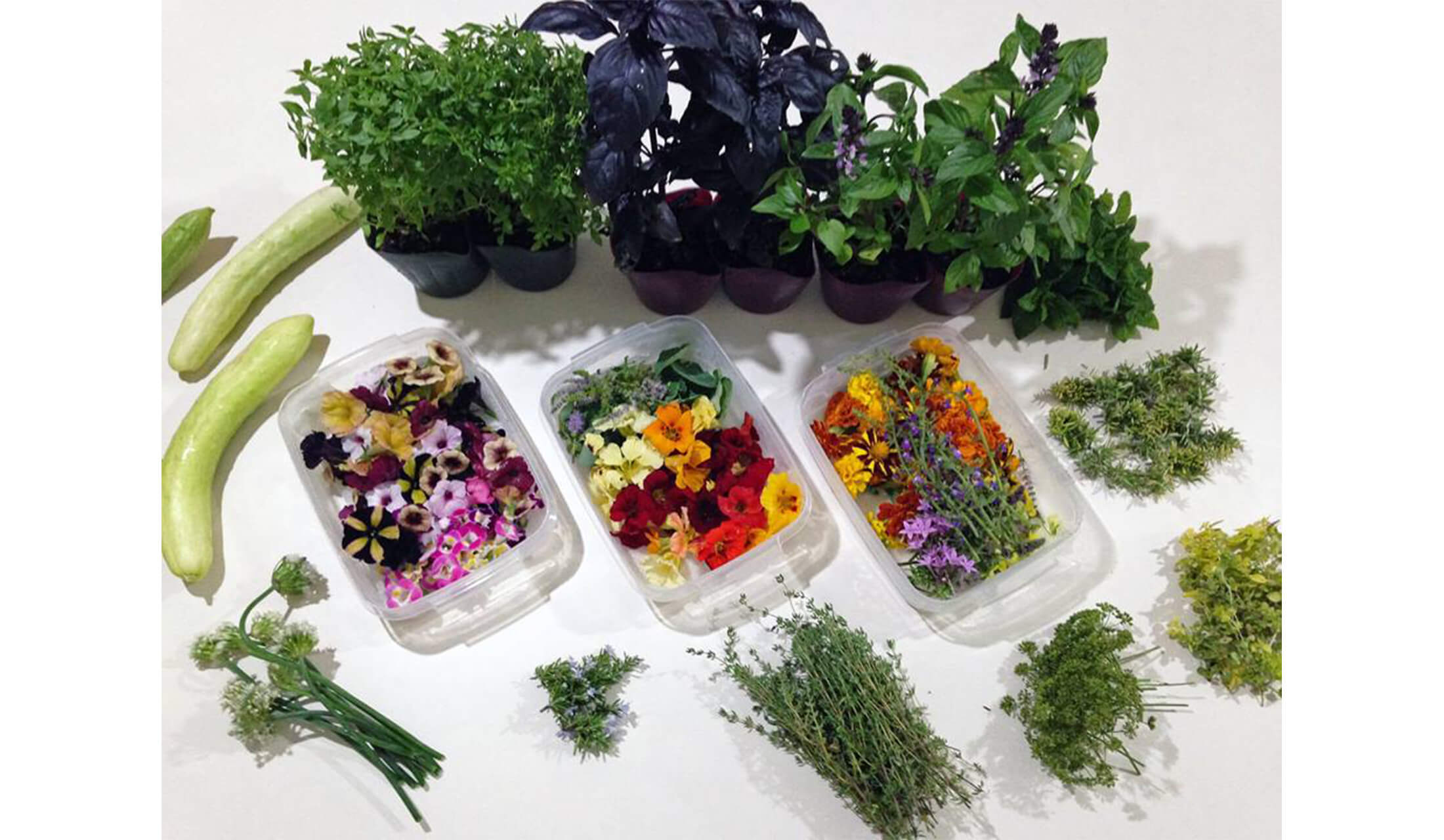 ハーブやエディブルフラワーは親友の植物家の方に育てていただいたもの。お花は普通のお花屋さんにあるものは食用できないものもあるので、スーパーや専門店で食用のものを探して