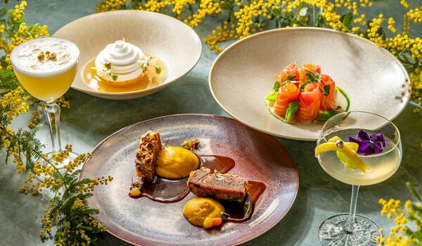 プルマン東京田町の「国際女性デー ミモザコース 2026」実食レポート｜ミシュラン一つ星レストラン女性シェフとコラボレーション！