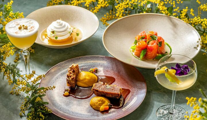 「プルマン東京田町」の「国際女性デー ミモザコース 2026」の画像