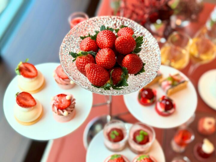 ホテル_7,スイーツ_7,東京_6,絶景_6,いちご_2