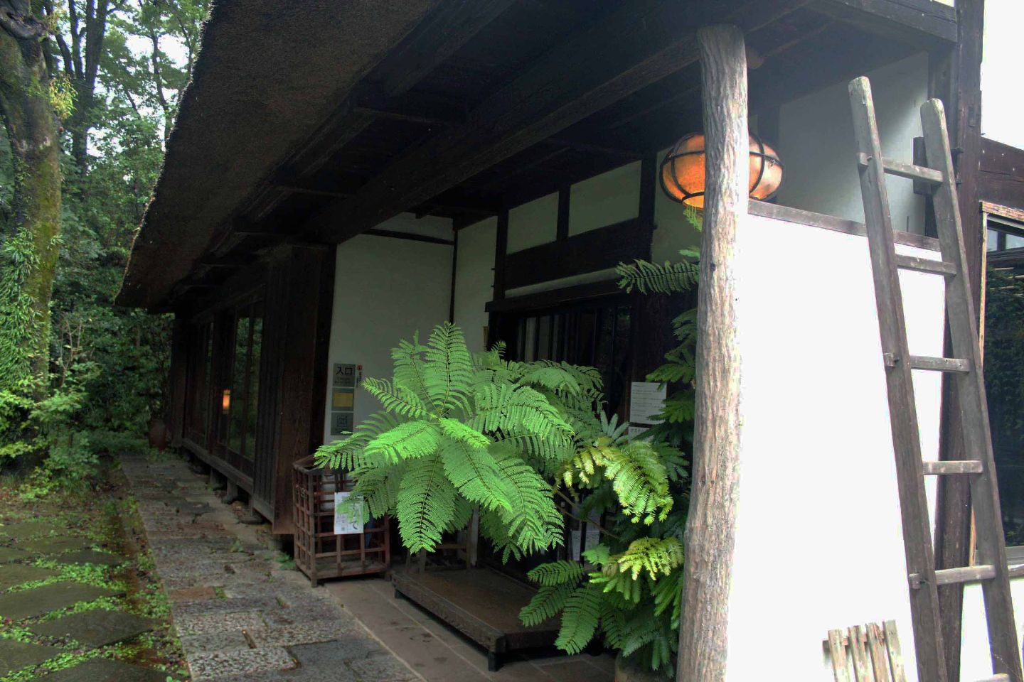 レストラン_1,東京_1,国内旅行_1,旅行