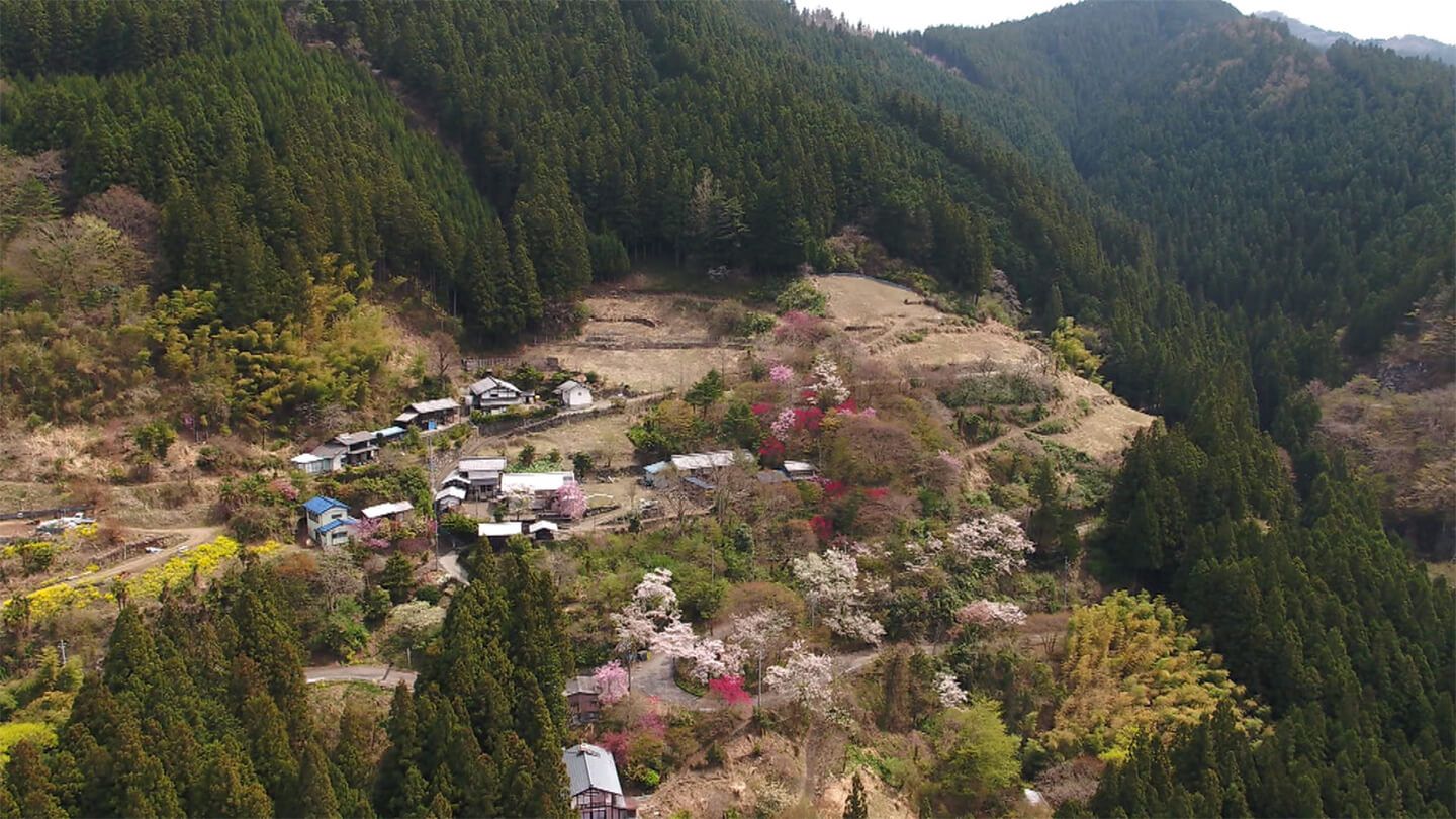 CINEMA「花のあとさき」b