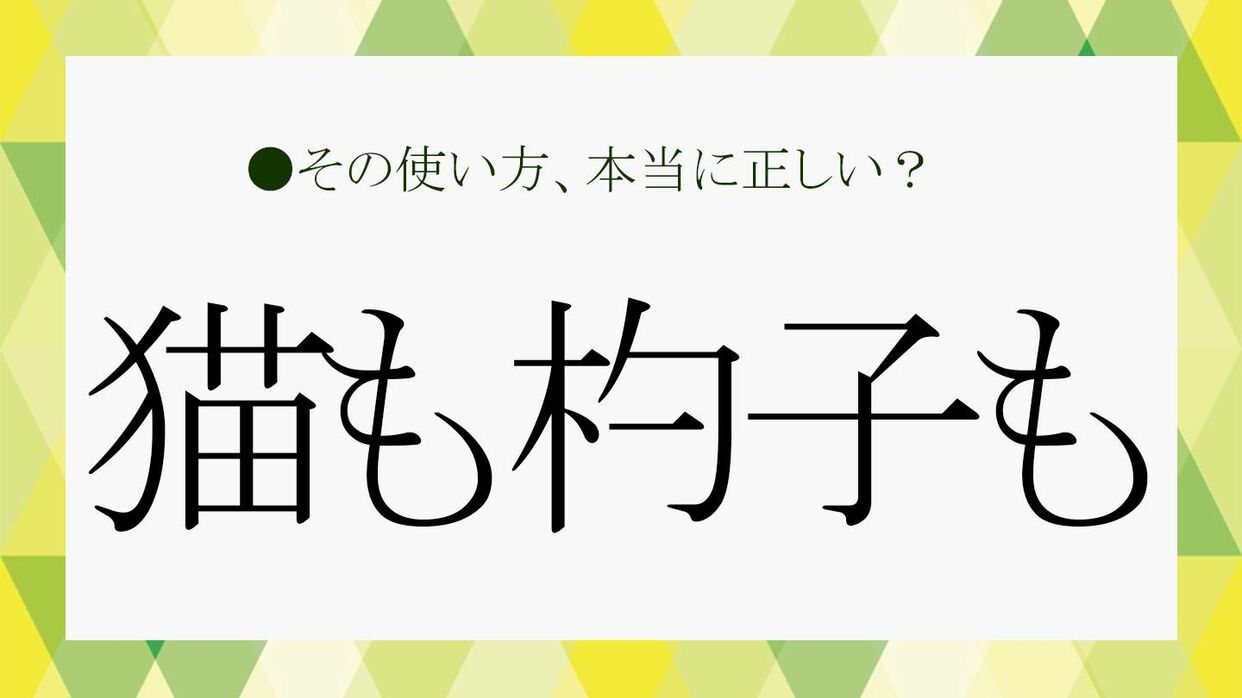 猫も杓子も」の意味は？読み方、由来、言い換えなど覚えておきたい基礎