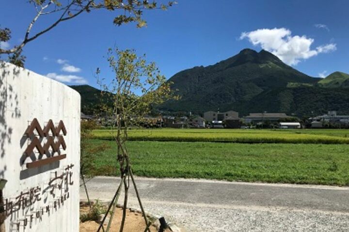 エントランスからの眺め。