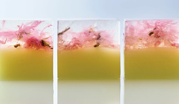 【春爛漫、「桜の和菓子」を愛でる】一年中、桜を愛でられる名物『さくら羊羹』を奈良・吉野山仁王門前に店を構える「萬松堂」からご紹介