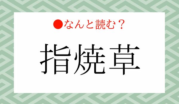 「ゆびやきぐさ」ではありません！「指焼草」ってなんと読む？