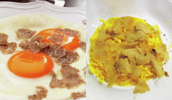 「フレッシュな “白トリュフ” が味わえるのはこのお店！」日本人唯一のピエモンテ州公認白トリュフハンターでトリュフ商の富松恒臣さんに教えていただきました