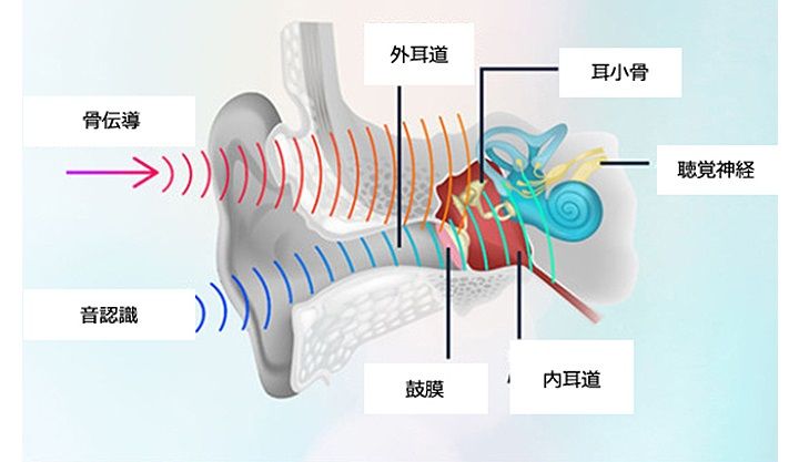 音認識と骨伝導によるいびきの識別技術は、スノアサークル独自のもの。日本、欧州、米国、中国で特許取得済。
