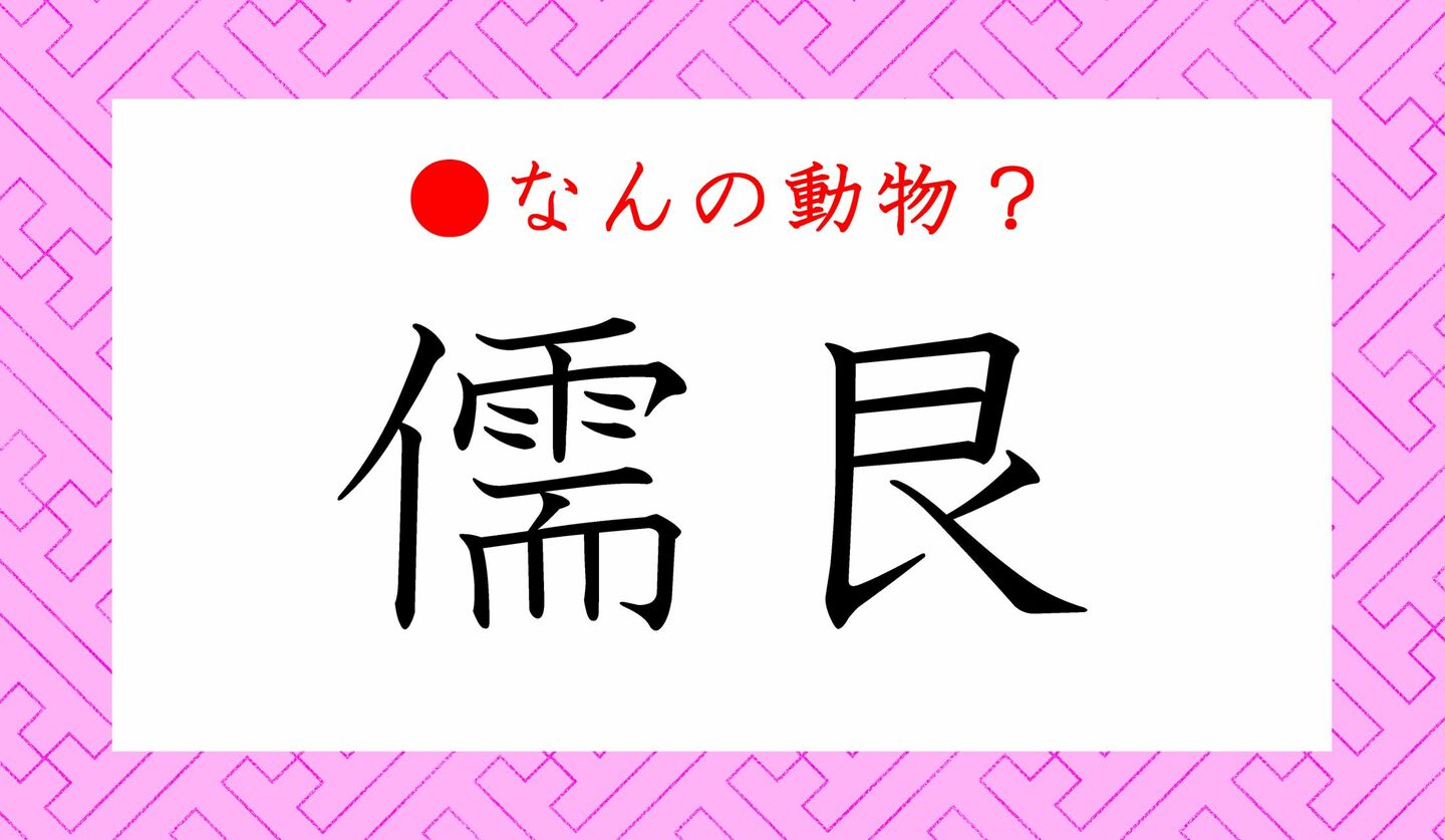 日本語クイズ　出題画像　難読漢字　「儒艮」なんの動物？