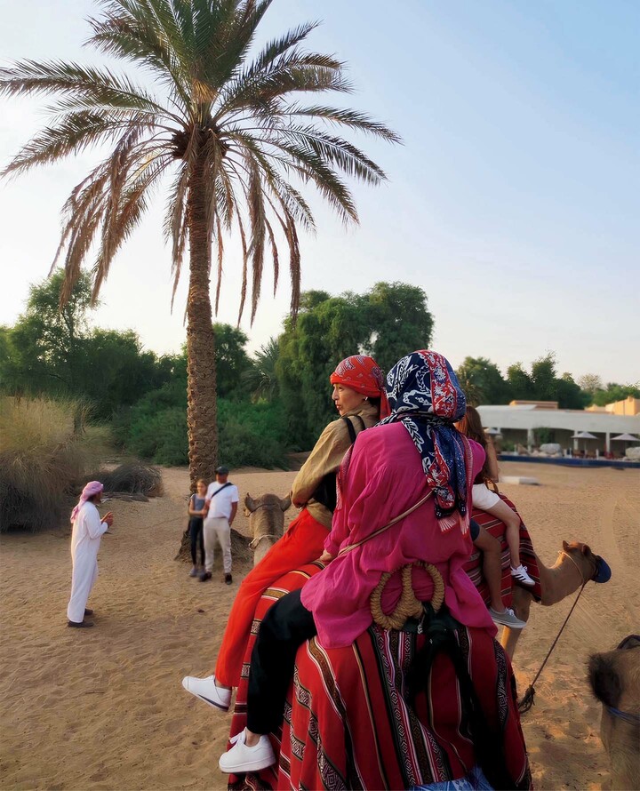 俳優の鈴木保奈美さんが撮影した写真