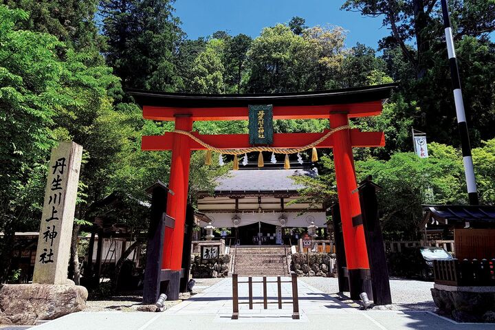 占い_6