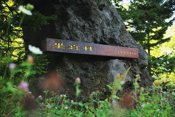 ホテル_14,北海道_14,旅行_14,国内旅行_14,温泉_10,温泉