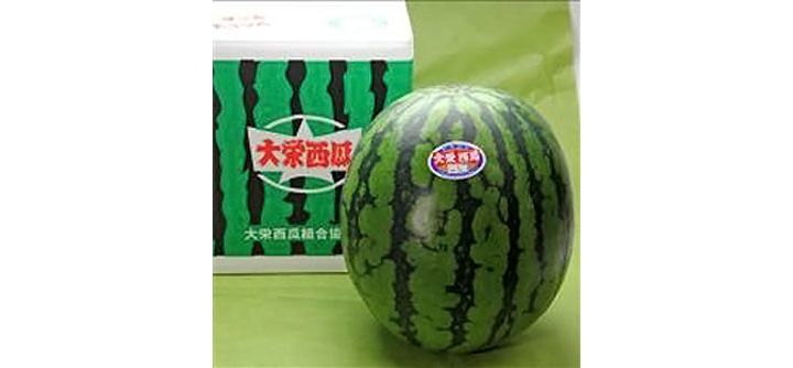 「大栄 スイカ だいえい 西瓜 鳥取県産 秀品4Lサイズ(約9.5kg)1玉入り」(日本ロイヤルガストロ倶楽部・鳥取)