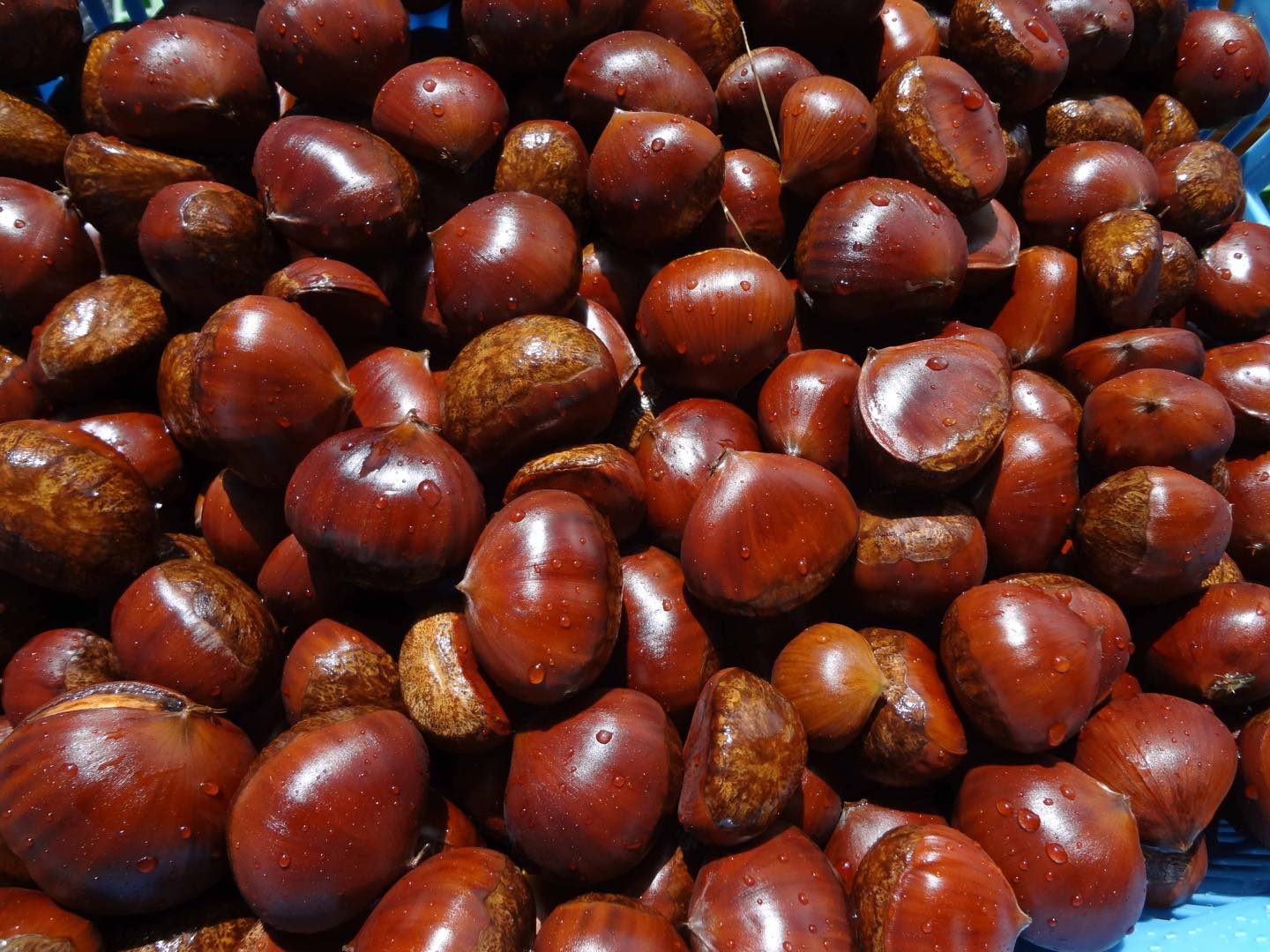 旬の味覚「和栗」を最もおいしく食べる方法 | Precious.jp(プレシャス)