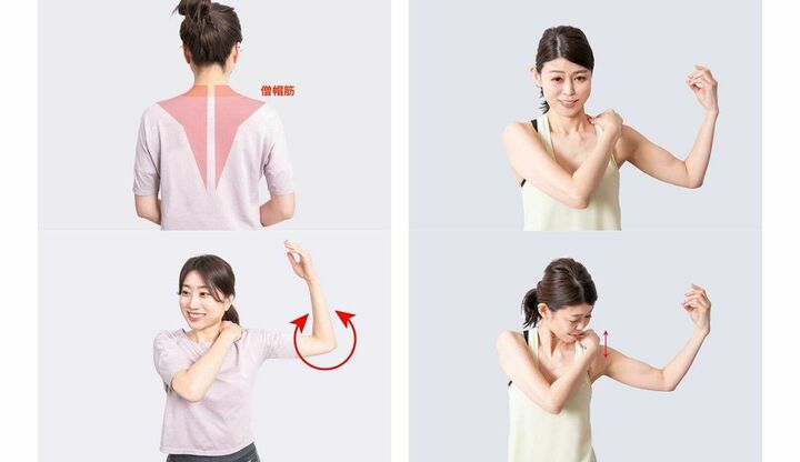 肩甲骨の凝りを解消する方法まとめ