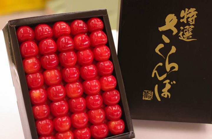 「紅秀峰さくらんぼ 鏡詰め 化粧箱 1kg」(浜中屋・山形)
