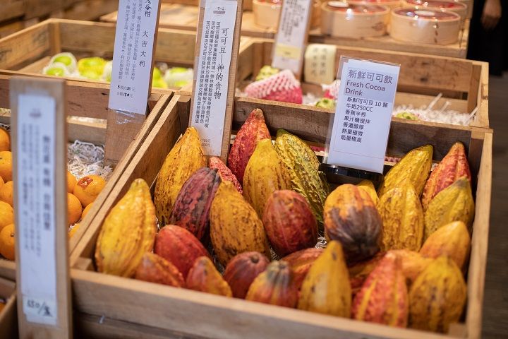 健康に対して特別な意識を持つというよりは、普段から毎日の食事を大切にする台湾の食習慣に興味を覚えた。