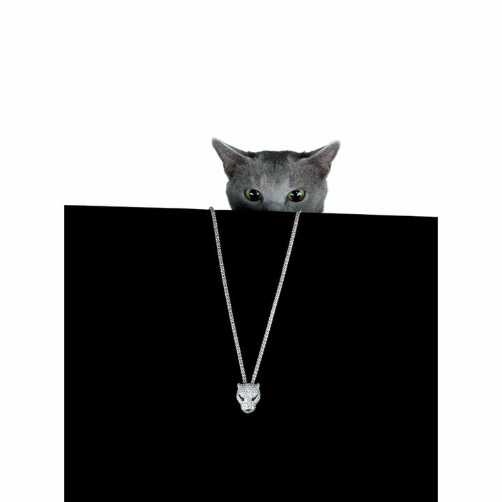 ネックレス『パンテール ドゥ カルティエ』［WG×ダイヤモンド×エメラルド×オニキス］（カルティエ）
p.p1 {margin: 0.0px 0.0px 0.0px 0.0px; font: 17.0px Times}
span.s1 {font: 7.0px Helvetica}

