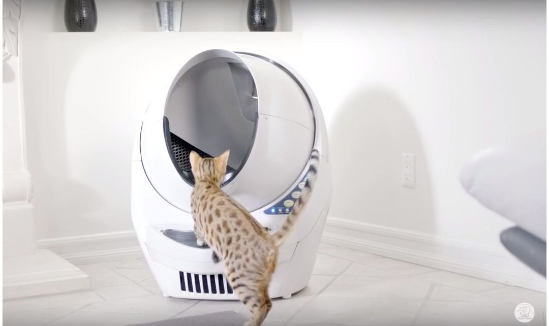 ネコがロボットの中に収まる姿が愛らしい 自動洗浄トイレ リッターロボット３ が優秀です Precious Jp プレシャス