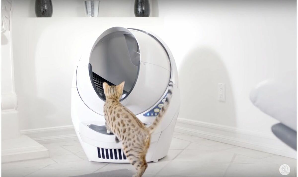 ネコがロボットの中に収まる姿が愛らしい！自動洗浄トイレ 