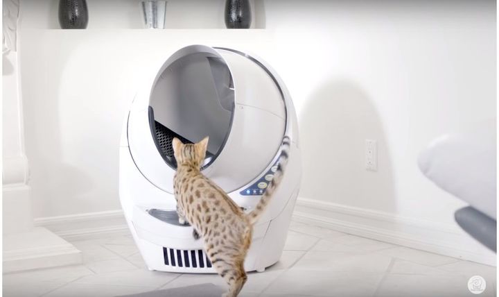 猫砂を入れてゴミ袋をセットするだけでどんなネコにも対応、約９年間は使えて長持ち、夜間に光るLEDライトもついた開放型の自動洗浄ネコ用トイレ「Litter-Robot（リッターロボット）」