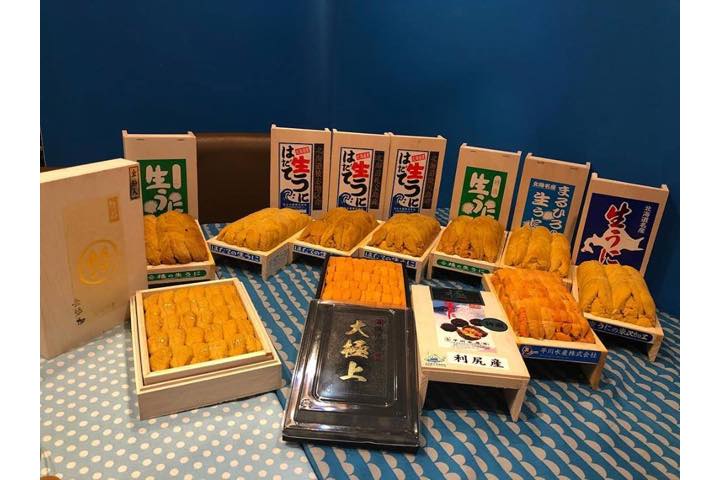 ずらりと並んださまざまなウニ。
