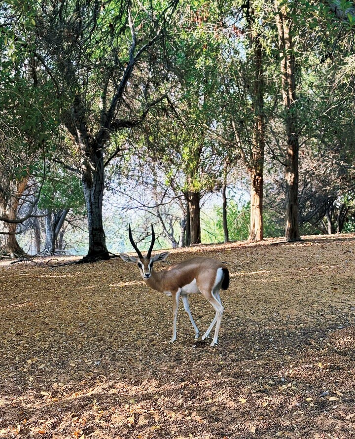 俳優の鈴木保奈美さんが撮影した写真