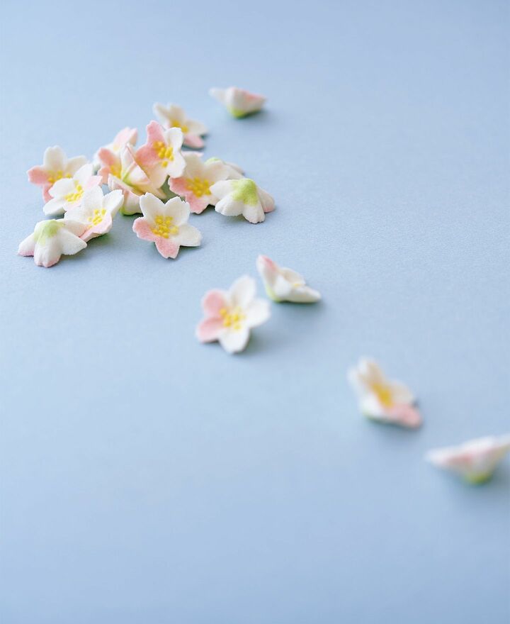 スイーツ_1,和文化_1